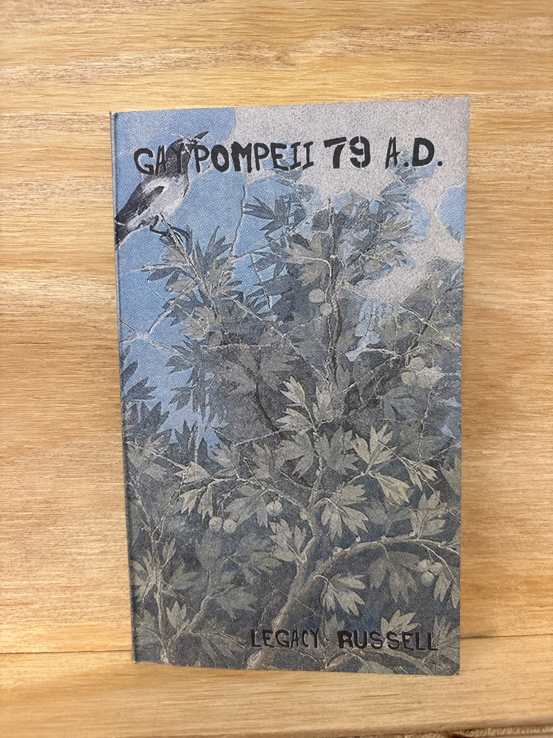 Gay Pompeii 79 AD - Legacy Russel