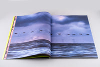 Kateryna Lymar - It's Funny How I Met This Horse thumbnail 6