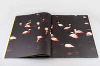 Kateryna Lymar - It's Funny How I Met This Horse thumbnail 3