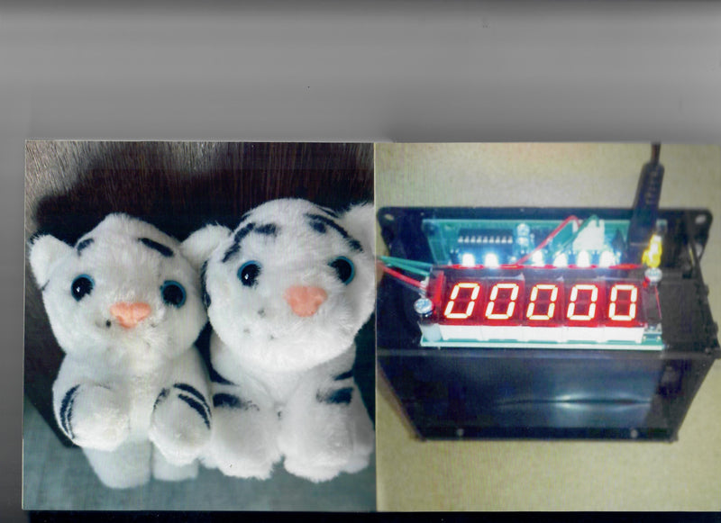 Sara Yukiko - XO 1 back