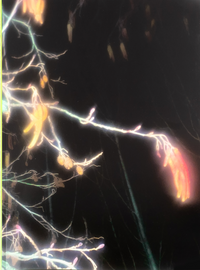 Kateryna Lymar - It's Funny How I Met This Horse thumbnail 1